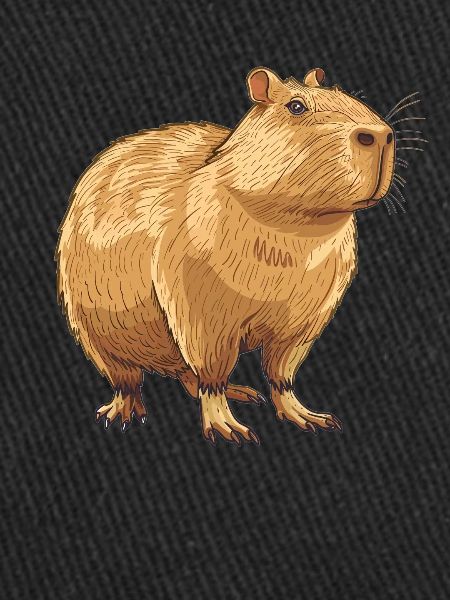 Capybaras Capybara