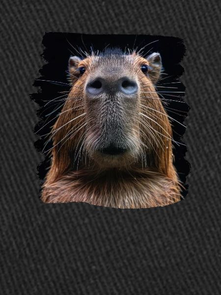 Capybaras Capybara