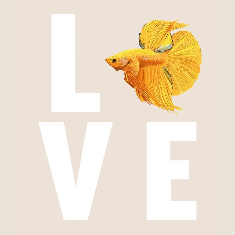 Bettas Betta Poisson Betta