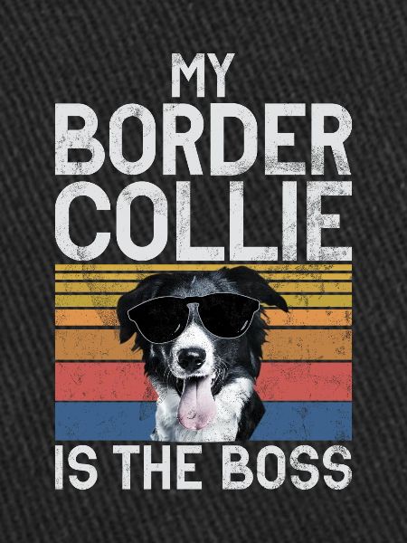 Cadeaux Border Collie