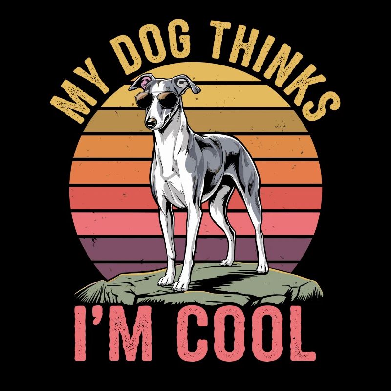 Whippet Mon chien pense que je suis cool