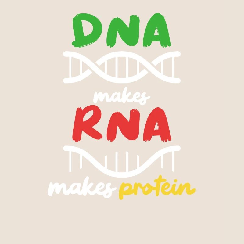 Aus DNA wird RNA wird Protein
