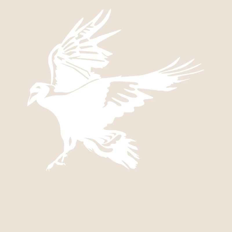 Flying Crow Raven Tree Ravens Crows