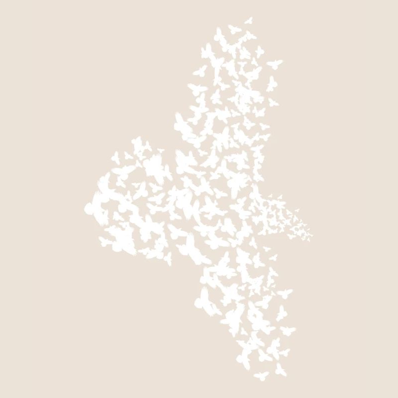 Crow Raven Tree Ravens Flying Crows