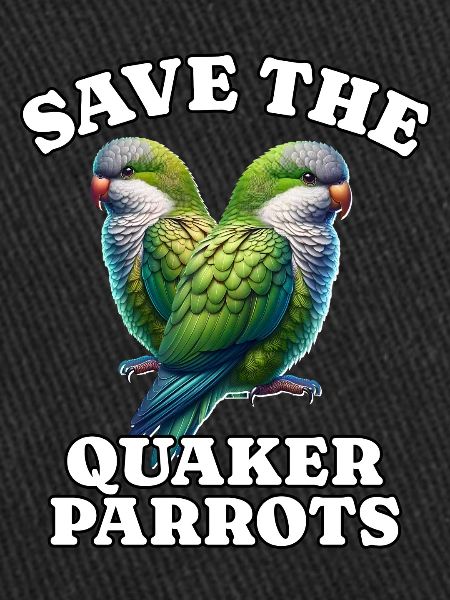Mönchssittich Save Quaker Parrot