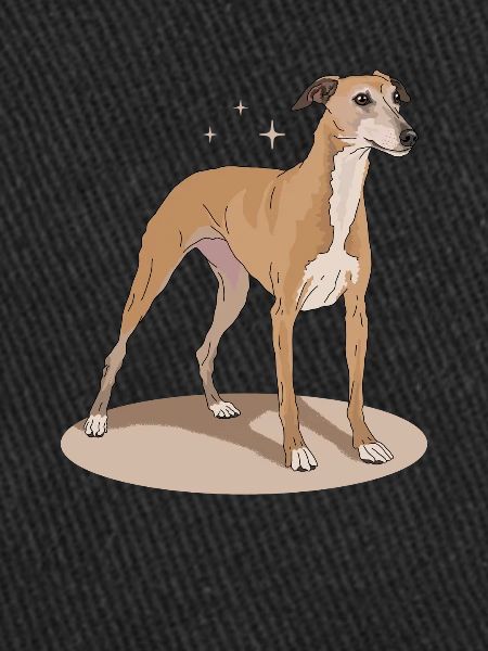 Whippet Cadeaux de lévrier anglais