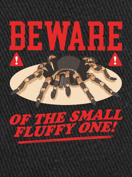 Tarantula Tarantula Spider Gift