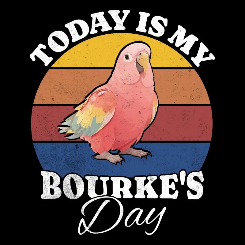 Perruche de Bourke