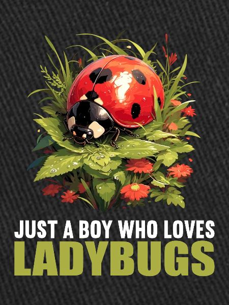 Ladybug Marienkäfer