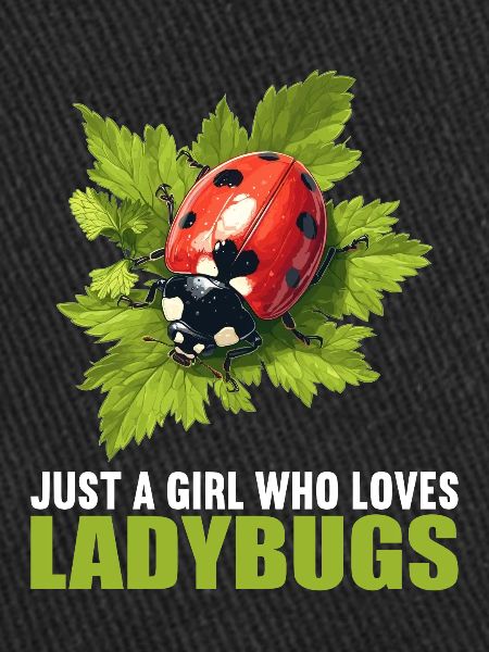 Ladybug Marienkäfer