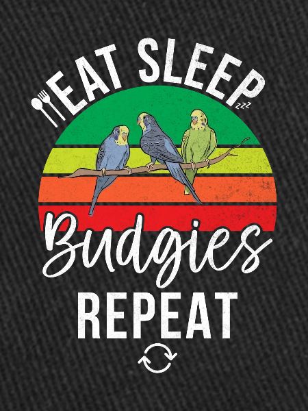 Budgie Gift