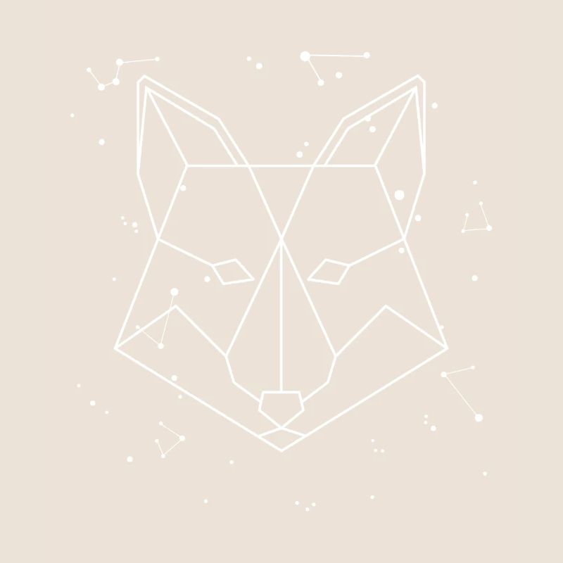 Sternbild Fuchs Sternbild Caninae Rotfuchs