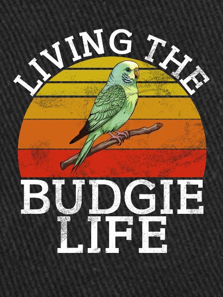 Budgie Gift