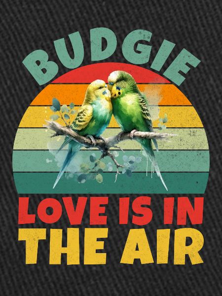 Budgie Gift