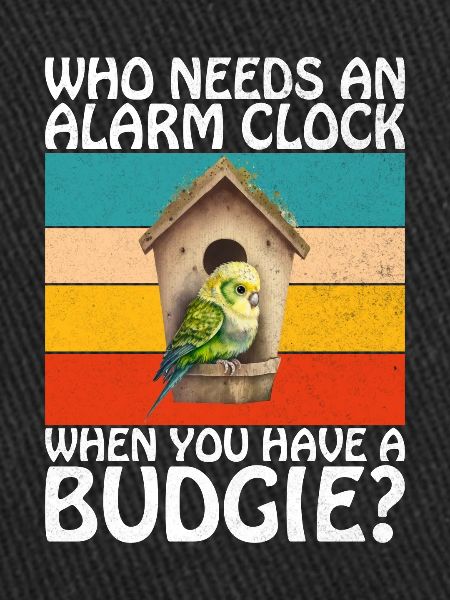 Budgie Gift