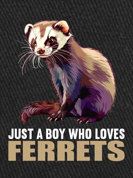 Furet Frettchen