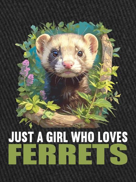 Furet Frettchen