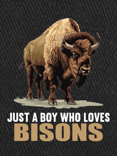 Bisons Bison