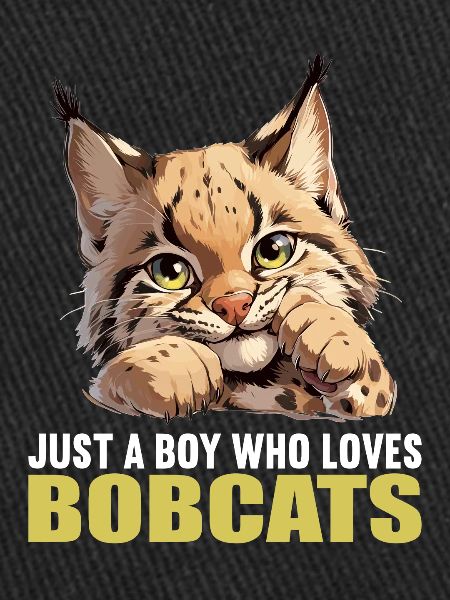 Bobcats Rotluchse Rotluchs Luchs