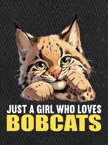 Bobcats Rotluchse Rotluchs Luchs