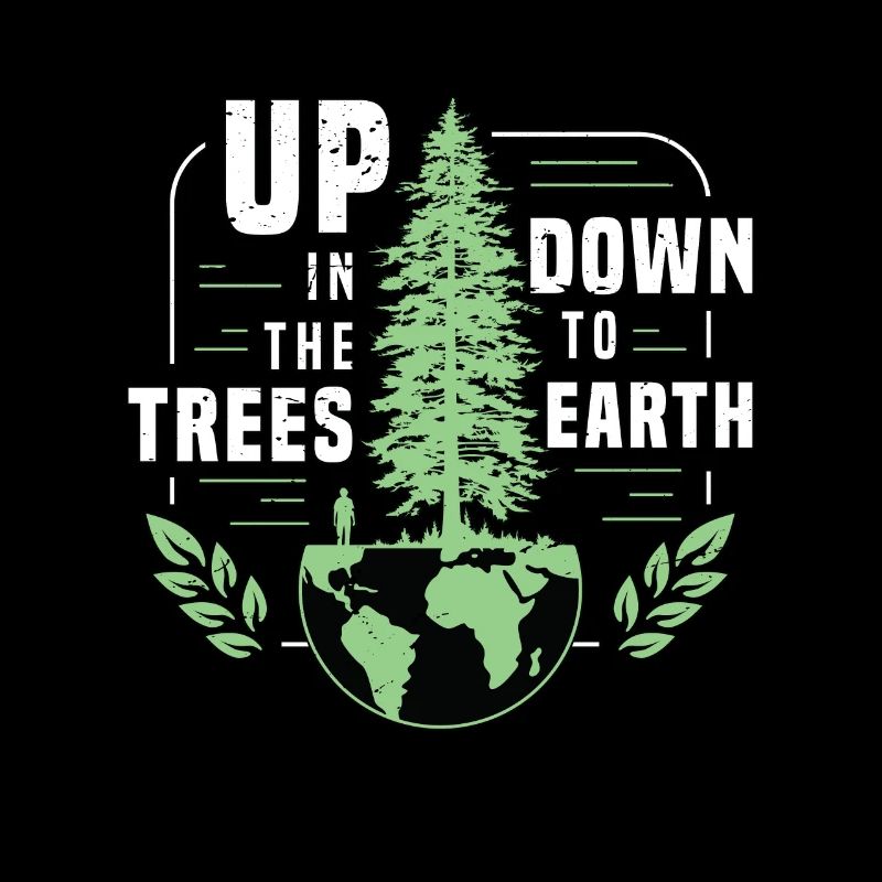 Tree Surgeon Up In The Trees Down To Forest Worker