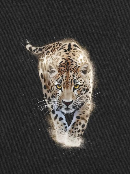 Guépard