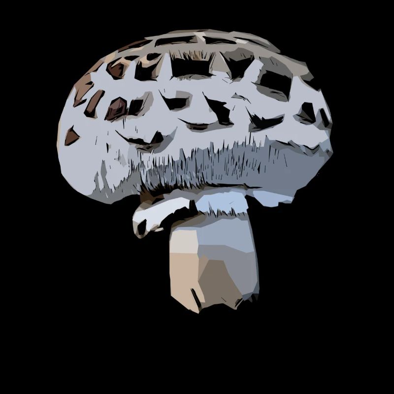 Champignon champion