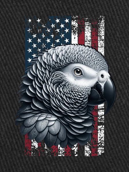 Grey Parrot US Graupapagei