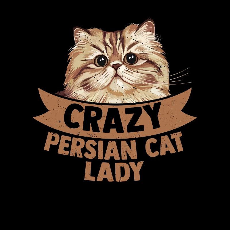 Chat Persan Fou Dame Mère Chaton Chat