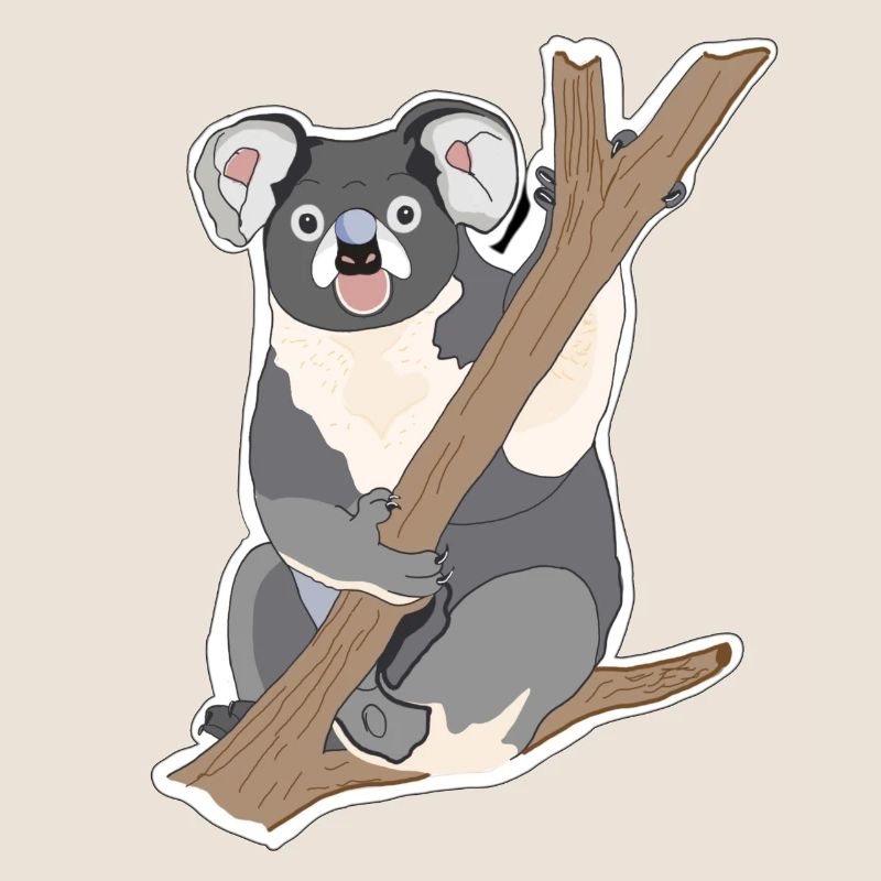 Koala Koala Ours