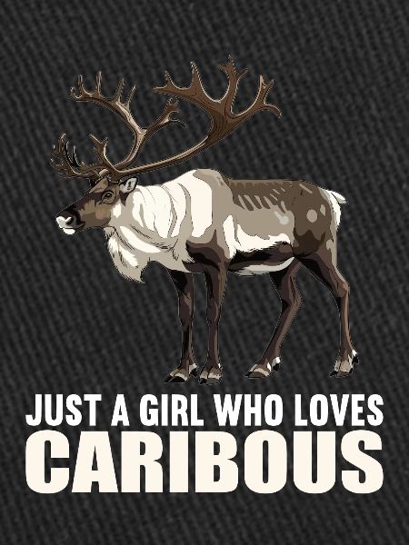 Caribou Karibus Karibu