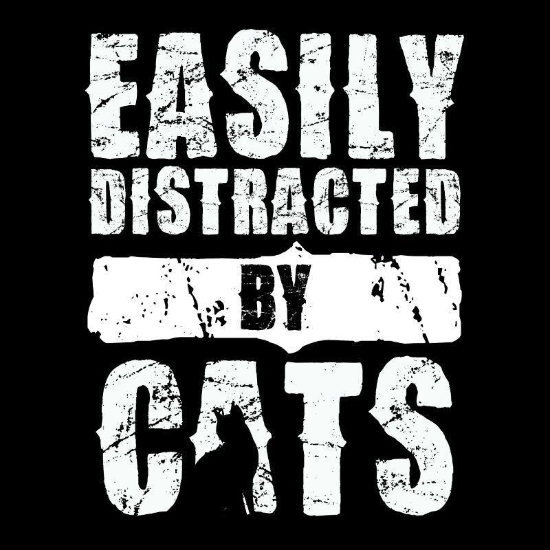 Easily distracted by cats