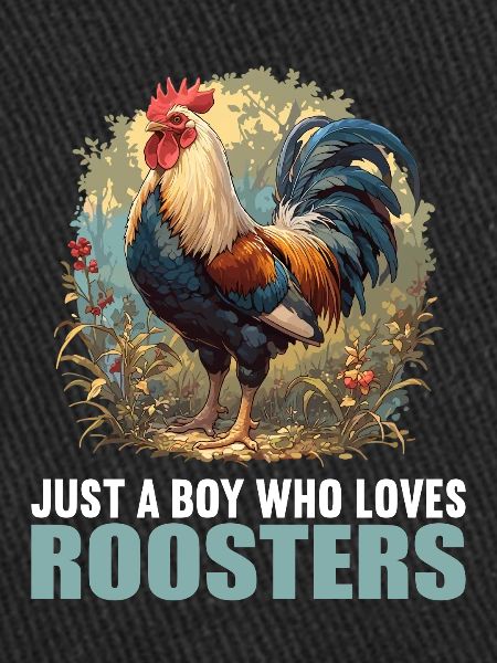 Coq Coqs Coq
