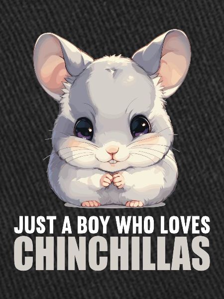 Chinchillas Chinchilla