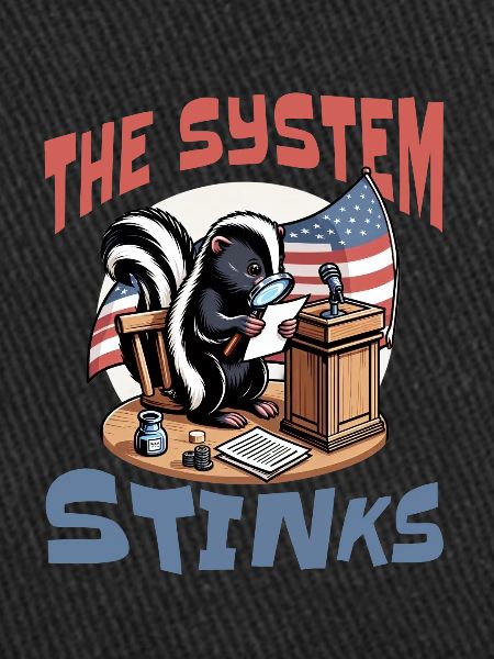Politics system stinks
