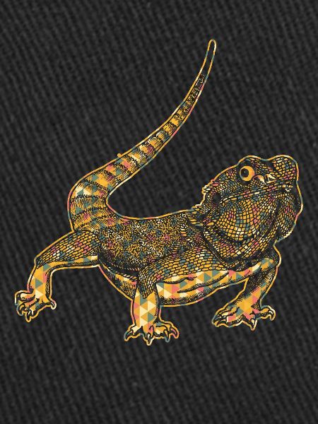 Bearded Dragon Geometric