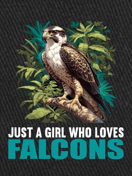 Faucon Faucon