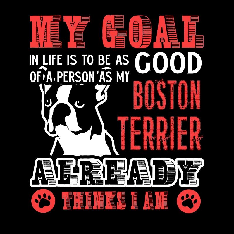 Try To Be A Good Boston Terrier