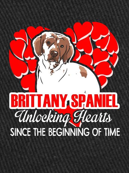 Brittany Spaniel Unlocking Hearts