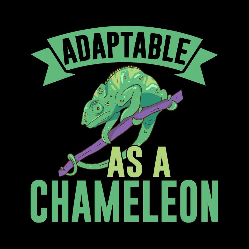 Cadeaux Caméléon