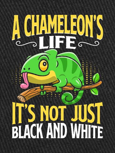 Cadeaux Caméléon