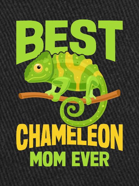 Cadeaux Caméléon
