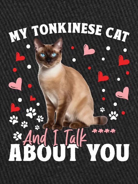 Chat tonkinois