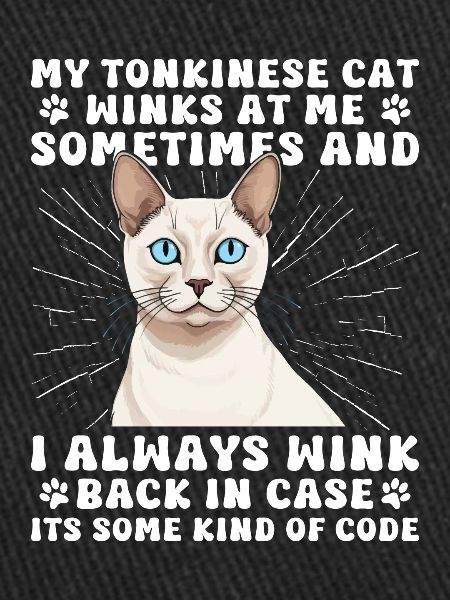Chat tonkinois
