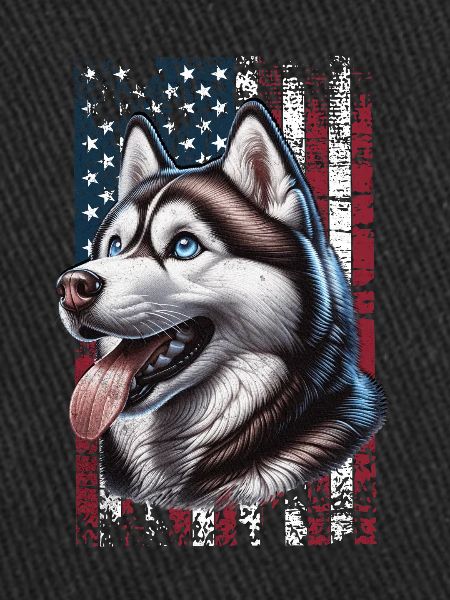 Husky US Chien de traîneau