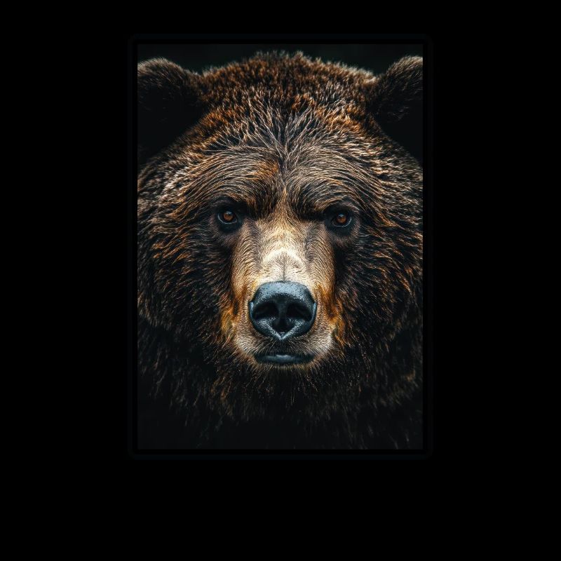 Grizzlis Ours grizzly