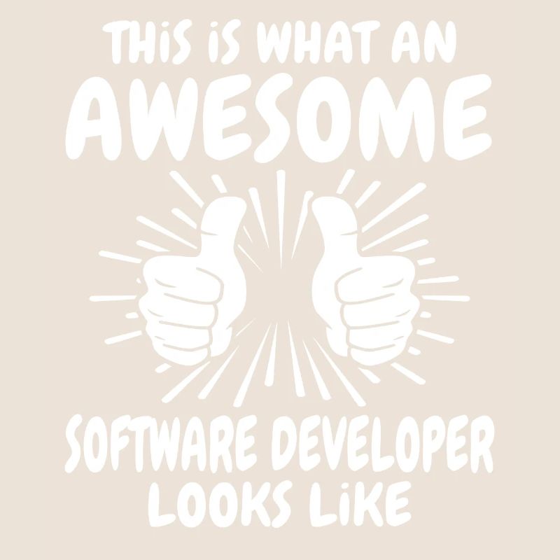 Software Developer