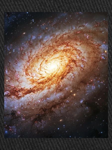 Galaxy Universe