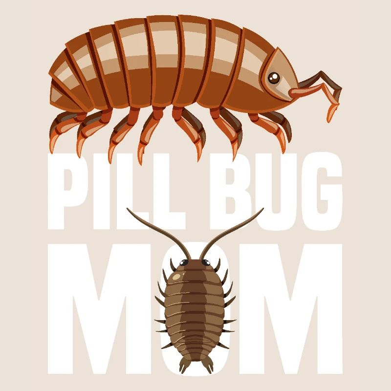 Pilule Bug Maman Isopode Mama Entomologiste Rollie Polli