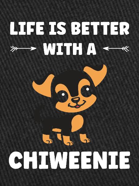 Chiweenie